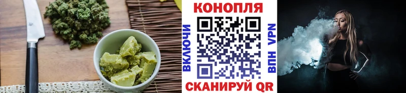 где найти   Темников  Cannafood конопля 