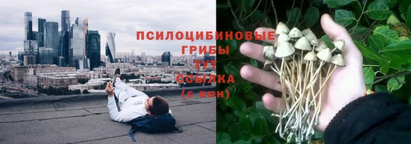 хмурый Балахна